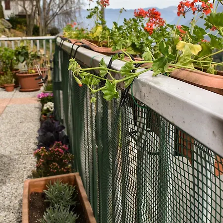 Apartamento Casa Di Spino